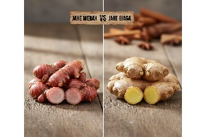 Jahe Merah vs Jahe Biasa